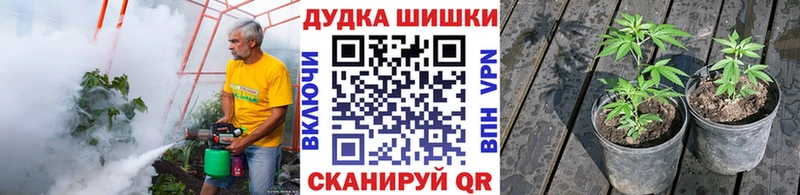Шишки марихуана Ganja  Скопин 